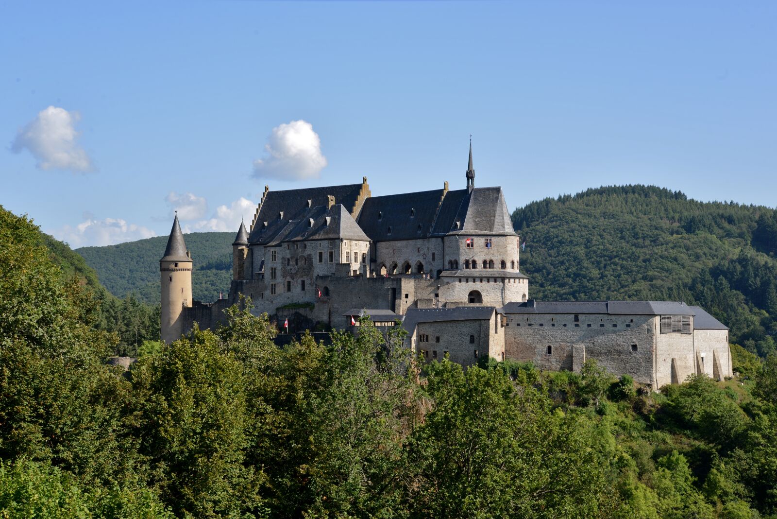 Nikon D600 sample photo. Castle, architecture, vianden photography