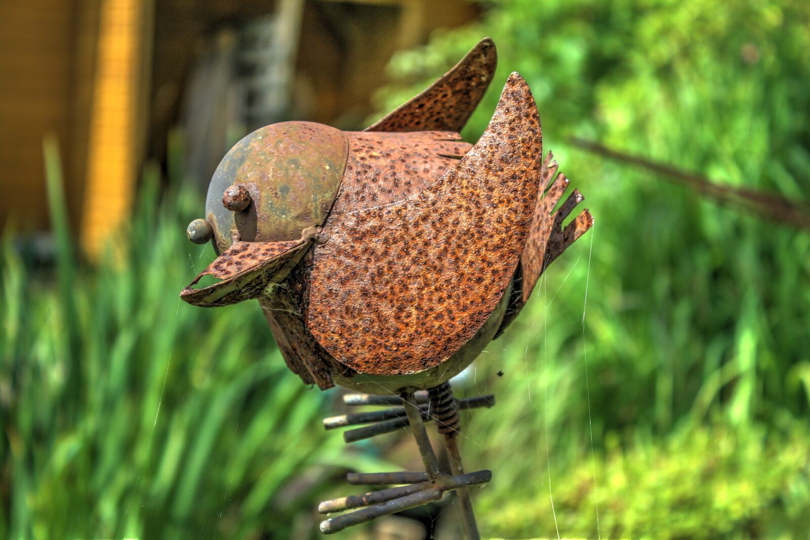 Canon EOS 600D (Rebel EOS T3i / EOS Kiss X5) sample photo. Bird, tin, garden photography
