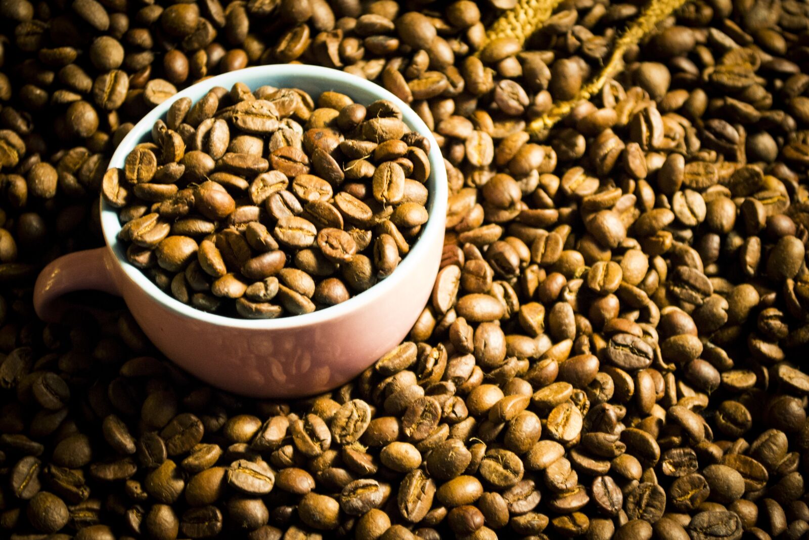 Nikon D3100 sample photo. Coffee, beans, rate photography