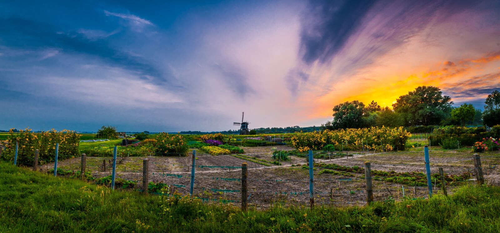 Sony Alpha DSLR-A700 + Sony DT 18-70mm F3.5-5.6 sample photo. Mill, evening, wind mill photography