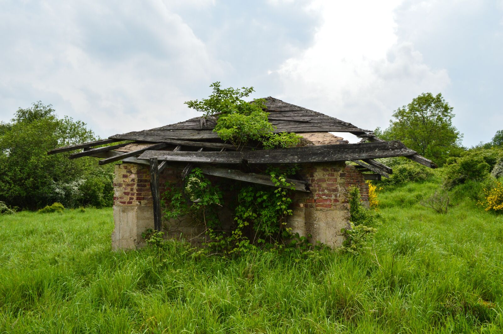 Nikon D3200 sample photo. Ruin, old building, wool photography