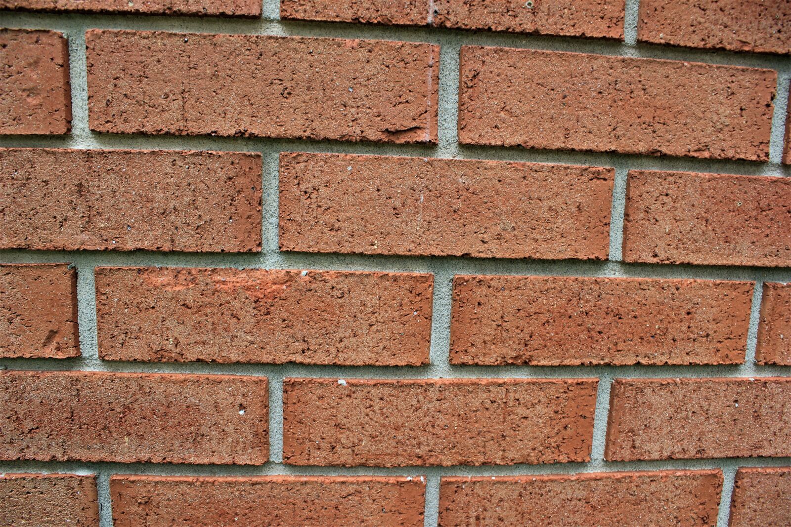 Canon EOS 550D (EOS Rebel T2i / EOS Kiss X4) sample photo. Brick, texture, wall photography
