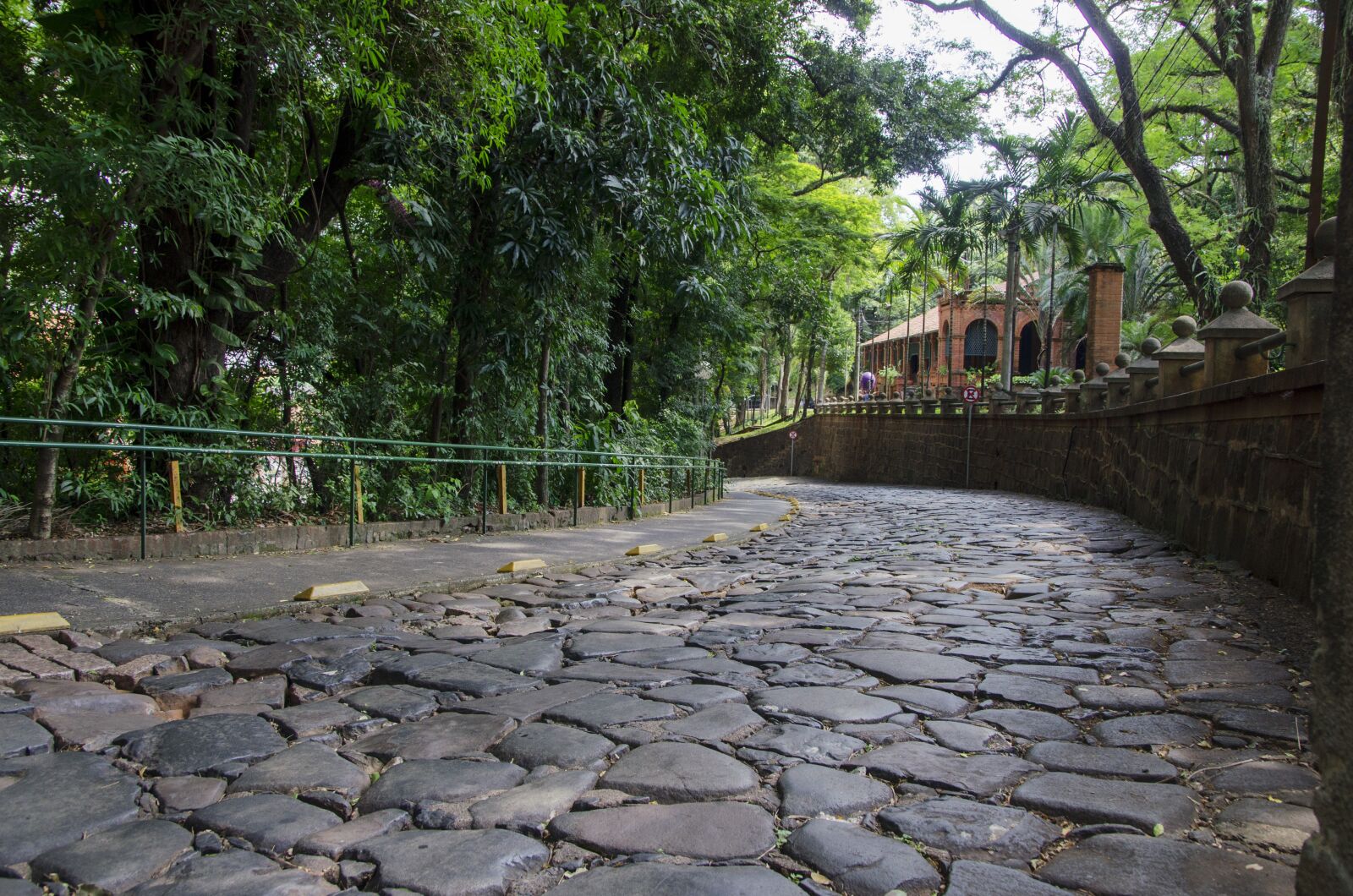 Nikon D5100 sample photo. Path, stones, landscape photography