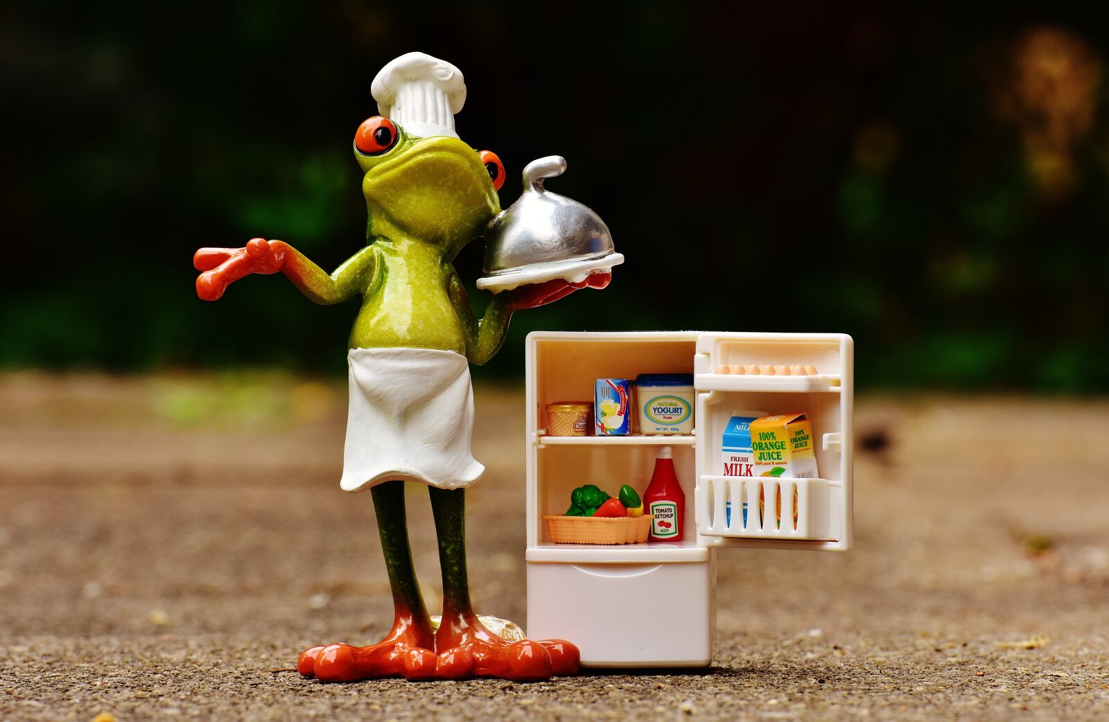 Nikon D7200 sample photo. Frog, cooking, figure photography