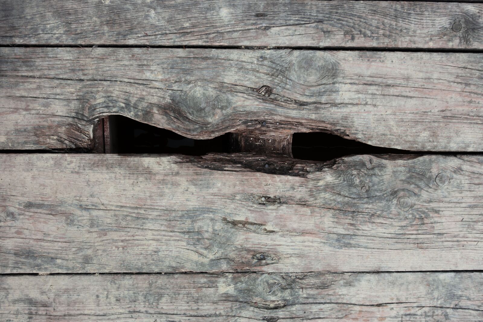 Sony Cyber-shot DSC-RX100 III sample photo. Wood, old, hole photography