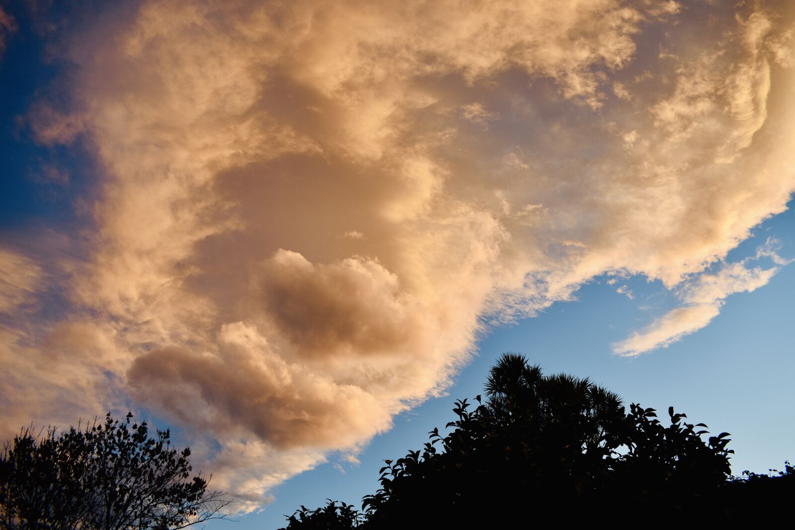 Nikon D3400 sample photo. Night, sky, pink photography