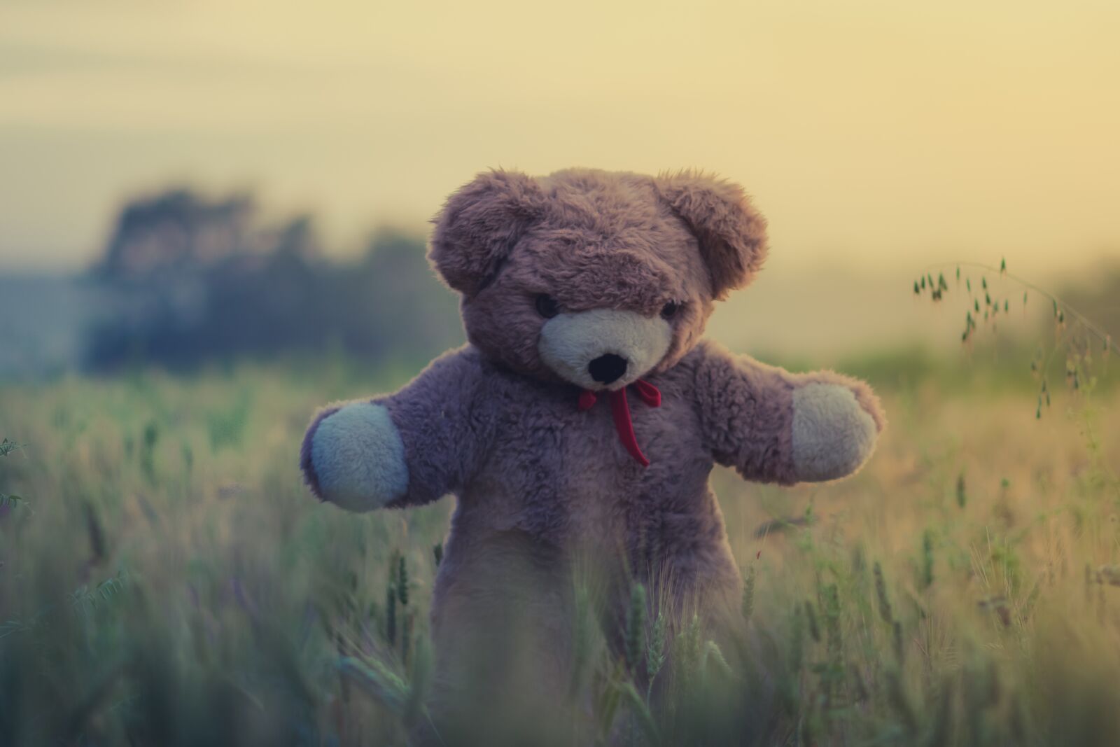 Nikon D7200 sample photo. Teddy bear, toy, child photography