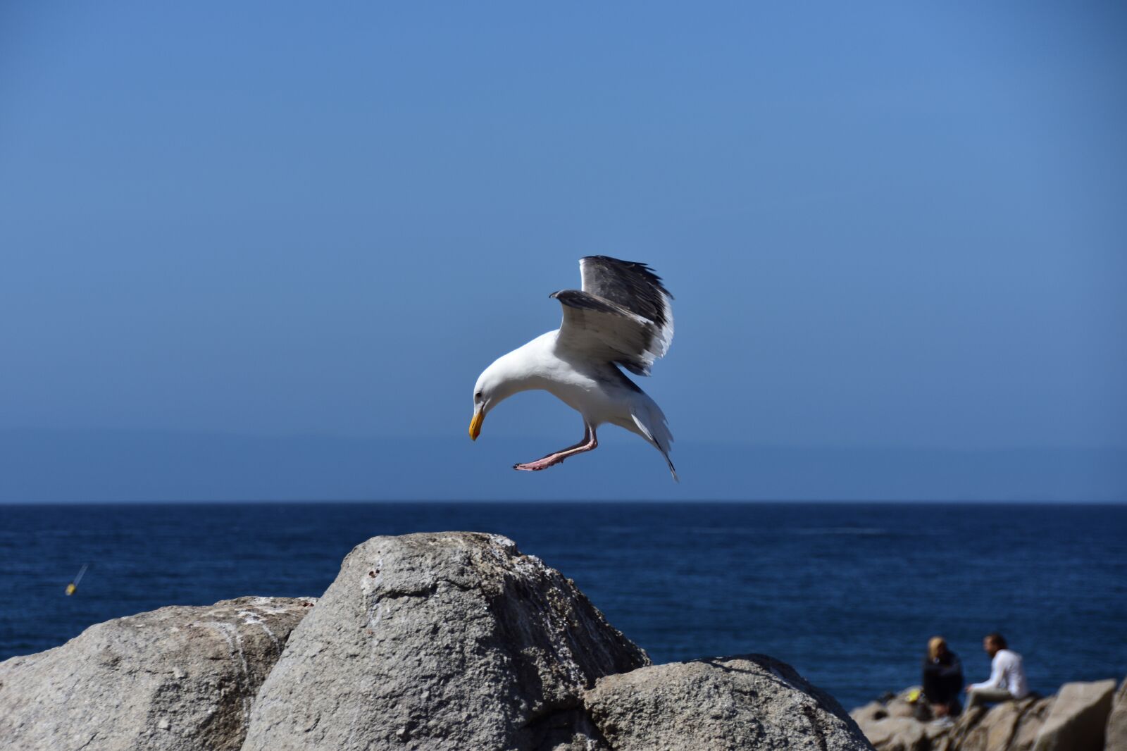 Nikon D7200 sample photo. Sea, waters, ocean photography