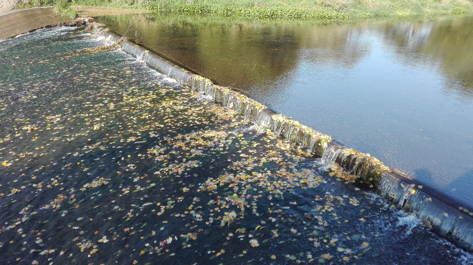 HUAWEI P8 Lite sample photo. Rafting, river, leaves photography