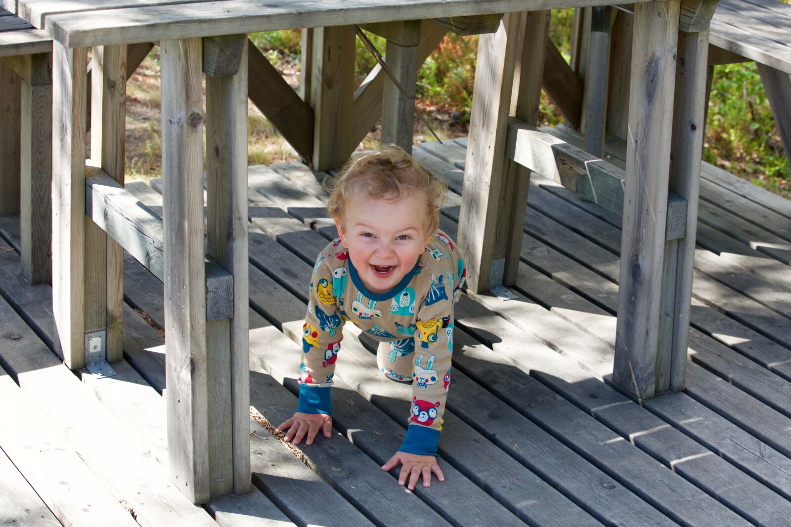 Canon EOS 5D Mark III sample photo. Hide and seek, four photography
