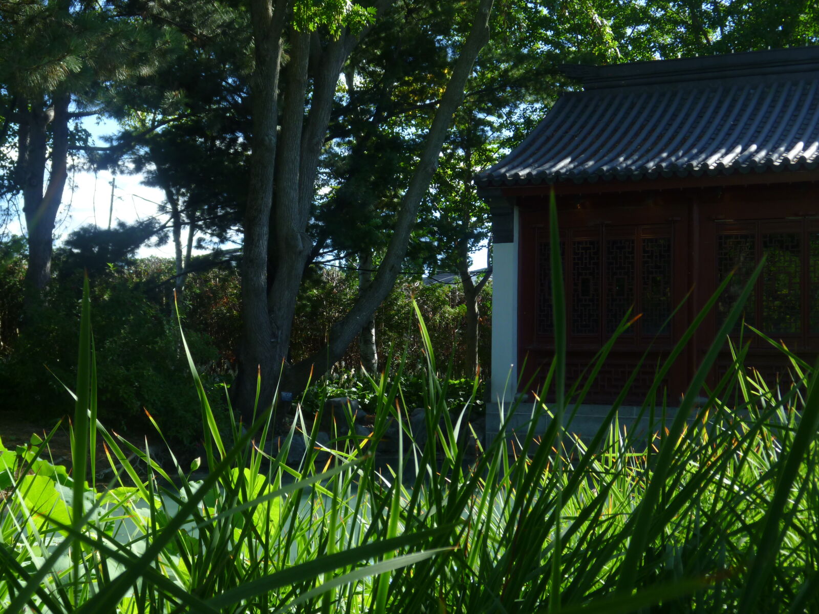 Panasonic DMC-ZR1 sample photo