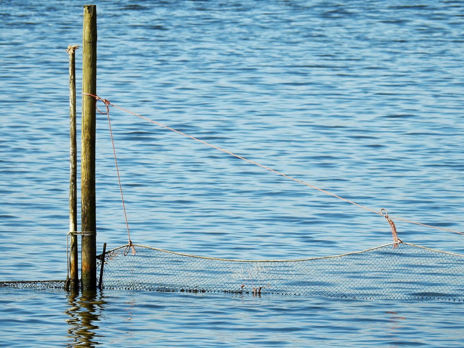 Nikon Coolpix P900 sample photo. Lake, sea, water photography