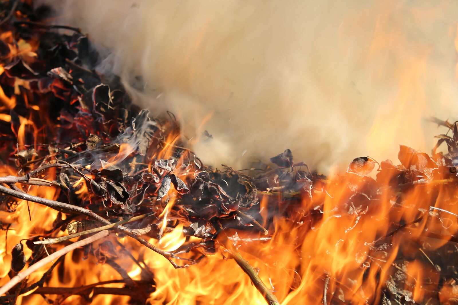 Canon EF 70-300 F4-5.6 IS II USM sample photo. Careful with fire, burning photography