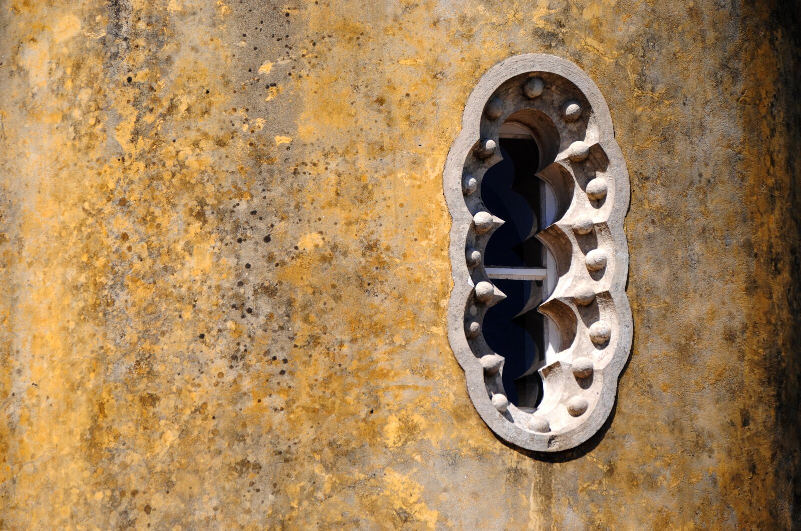 Nikon D3000 sample photo. Rosette, window, antique photography