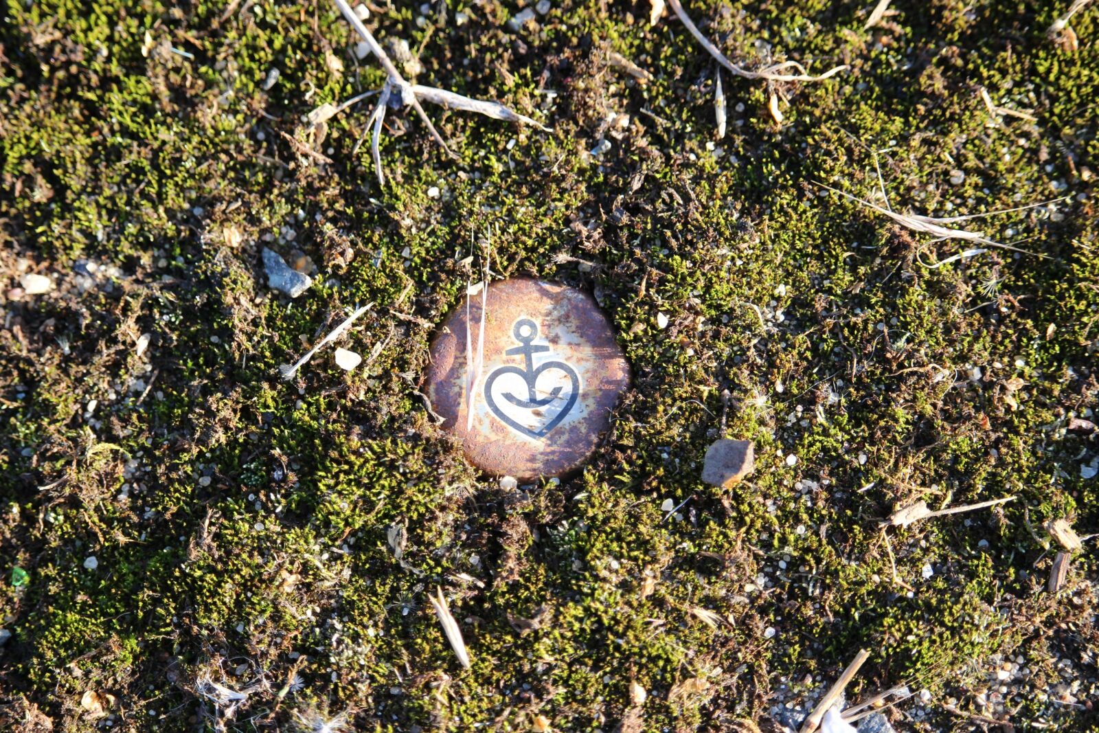 Canon EOS 100D (EOS Rebel SL1 / EOS Kiss X7) sample photo. Moss, bottle caps, old photography