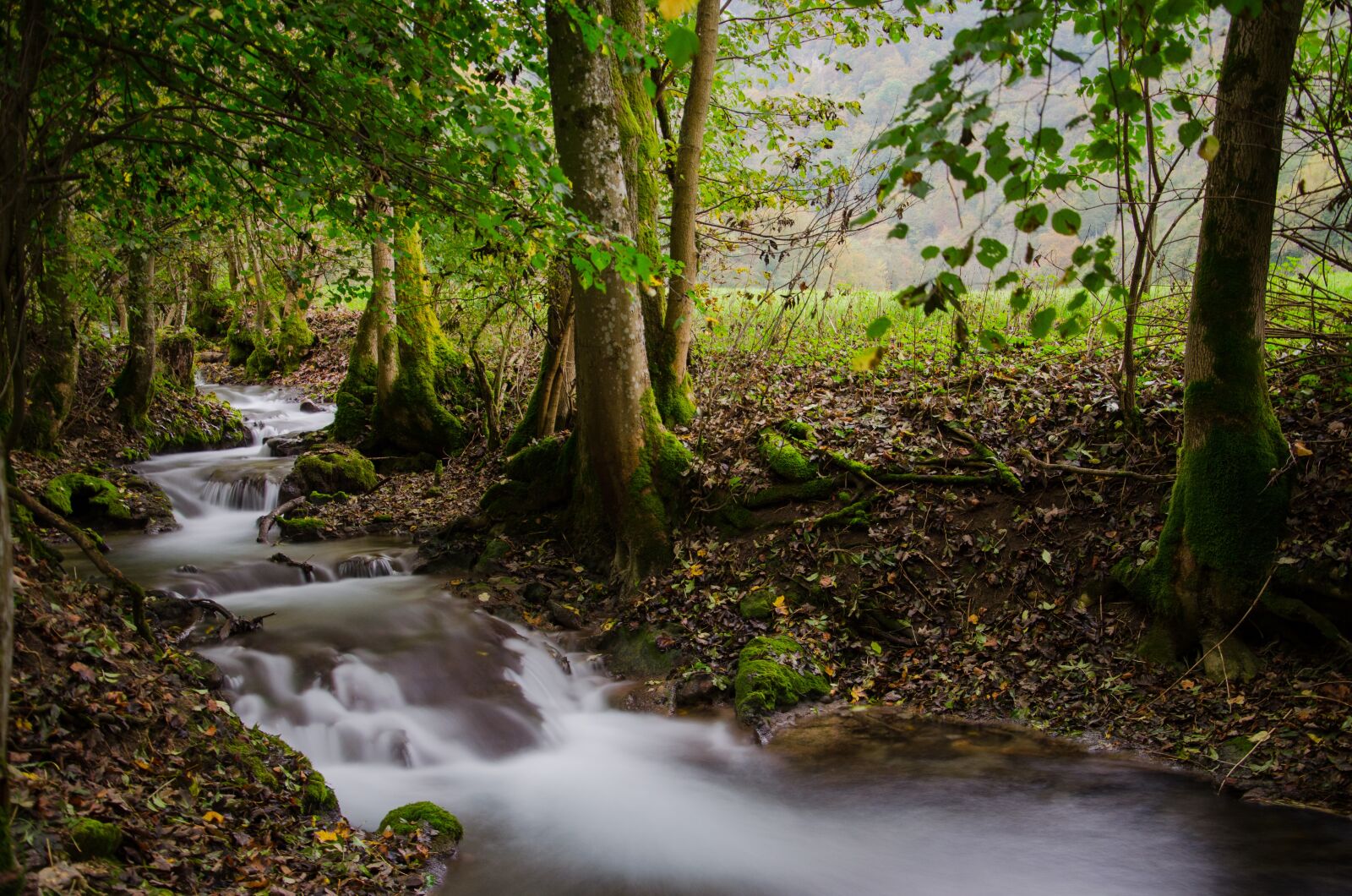 Nikon D5100 sample photo. Bad urach, germany, river photography