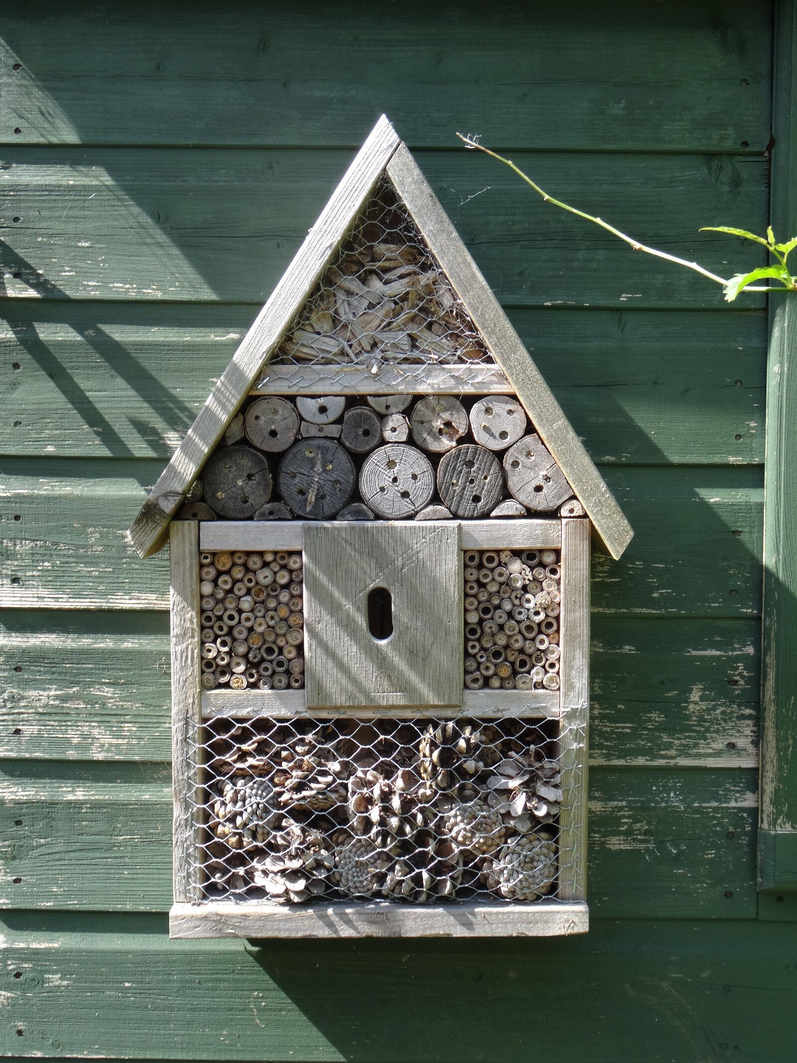 Sony DSC-HX50 sample photo. Insect house, insect, bee photography