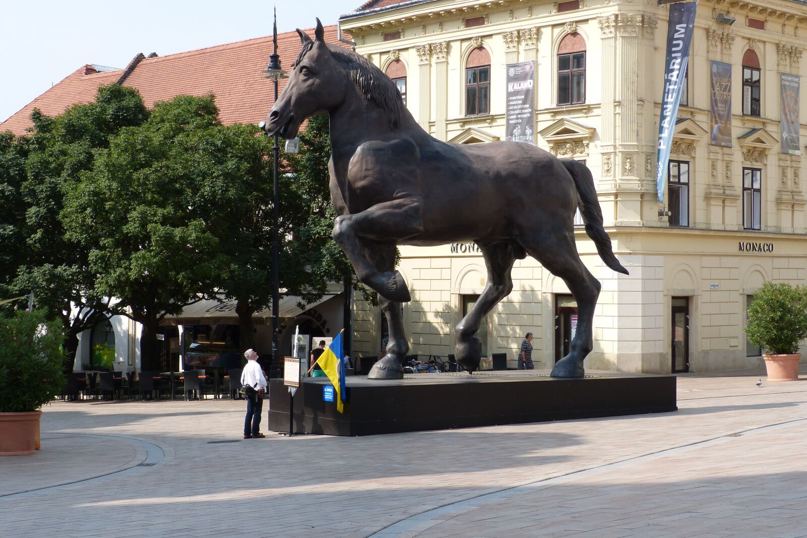 Panasonic DMC-FZ62 sample photo. Statue, pecs, art photography