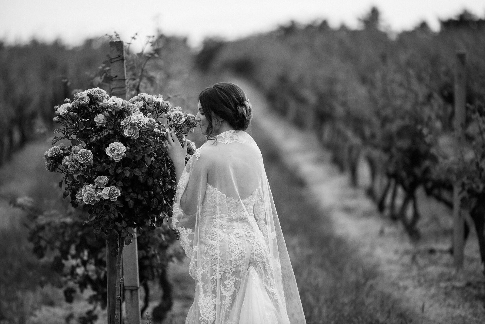 Canon EF 70-200mm F2.8L IS II USM sample photo. Bride, nostalgia, vineyard, vintage photography