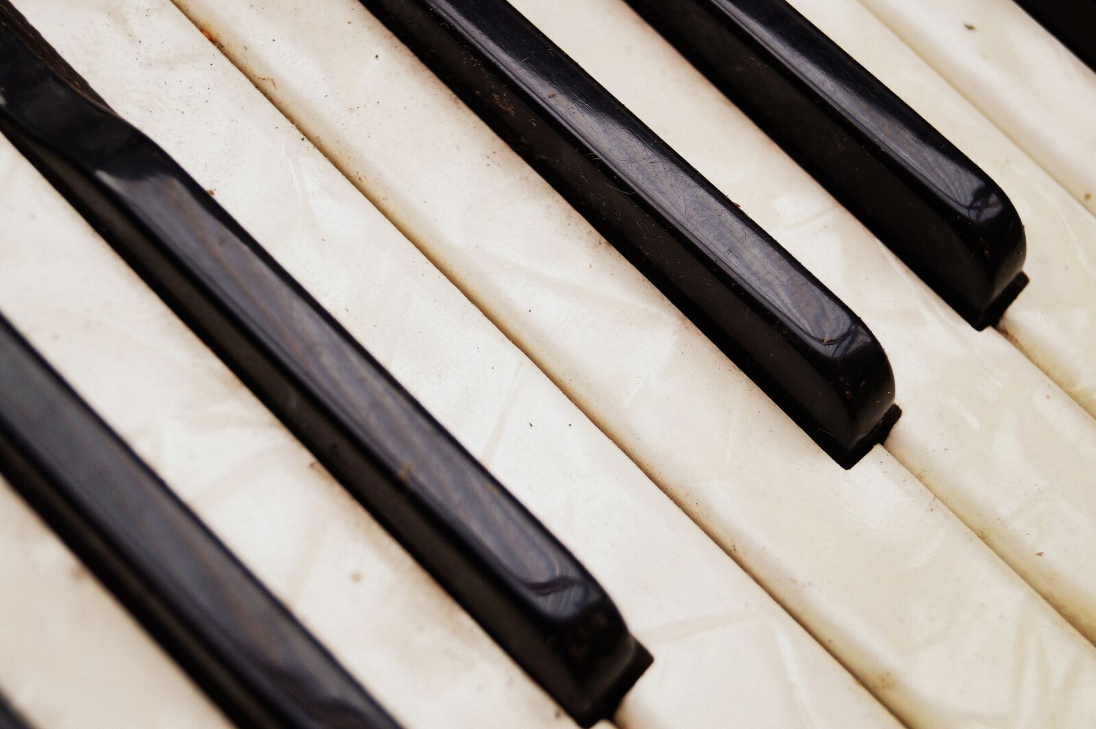 Sony DT 18-55mm F3.5-5.6 SAM II sample photo. Accordion, keys, music photography