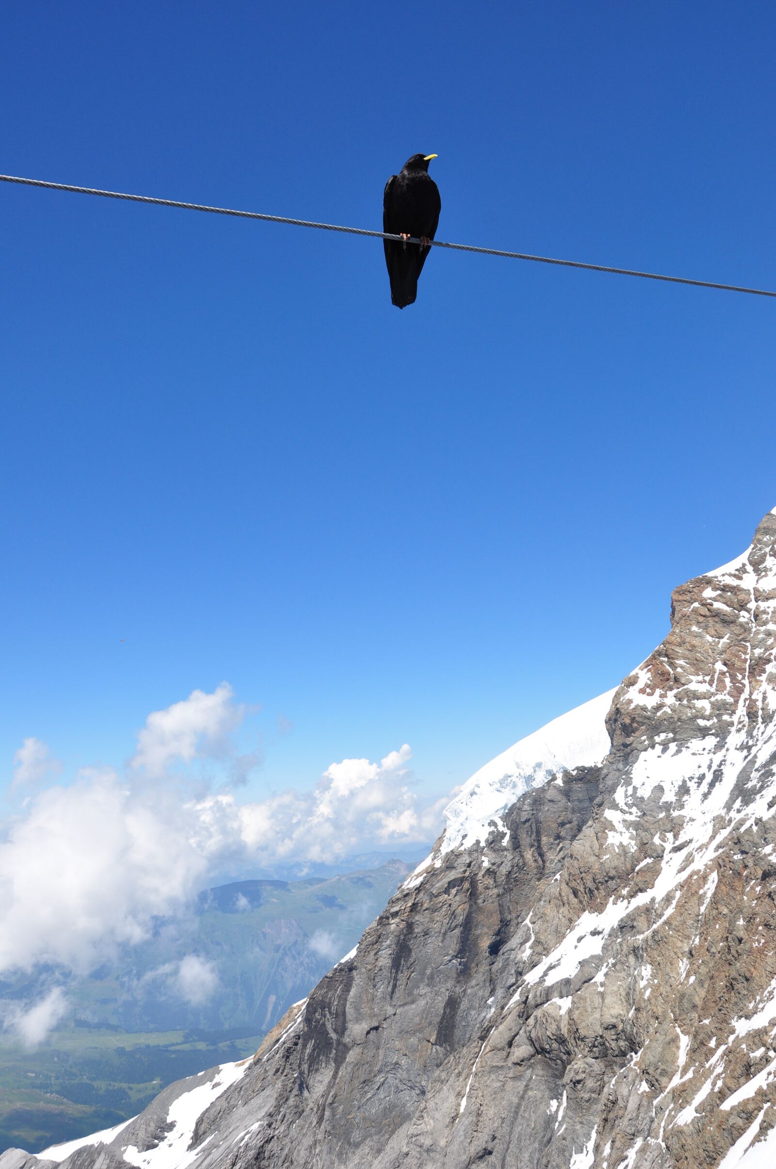 Nikon D90 sample photo. Switzerland, blue, alpenkauw photography