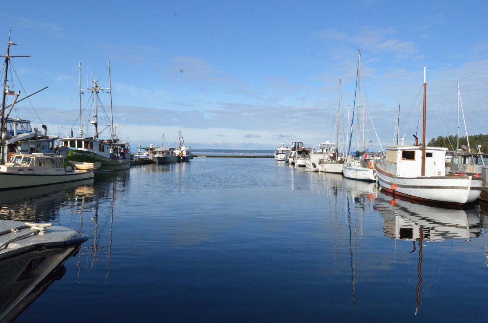Nikon D7000 sample photo. Canada, british columbia, nature photography