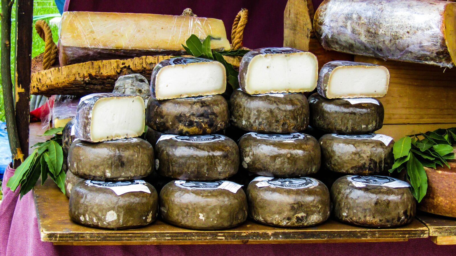 Canon PowerShot SX410 IS sample photo. Sheep cheese, goat cheese photography