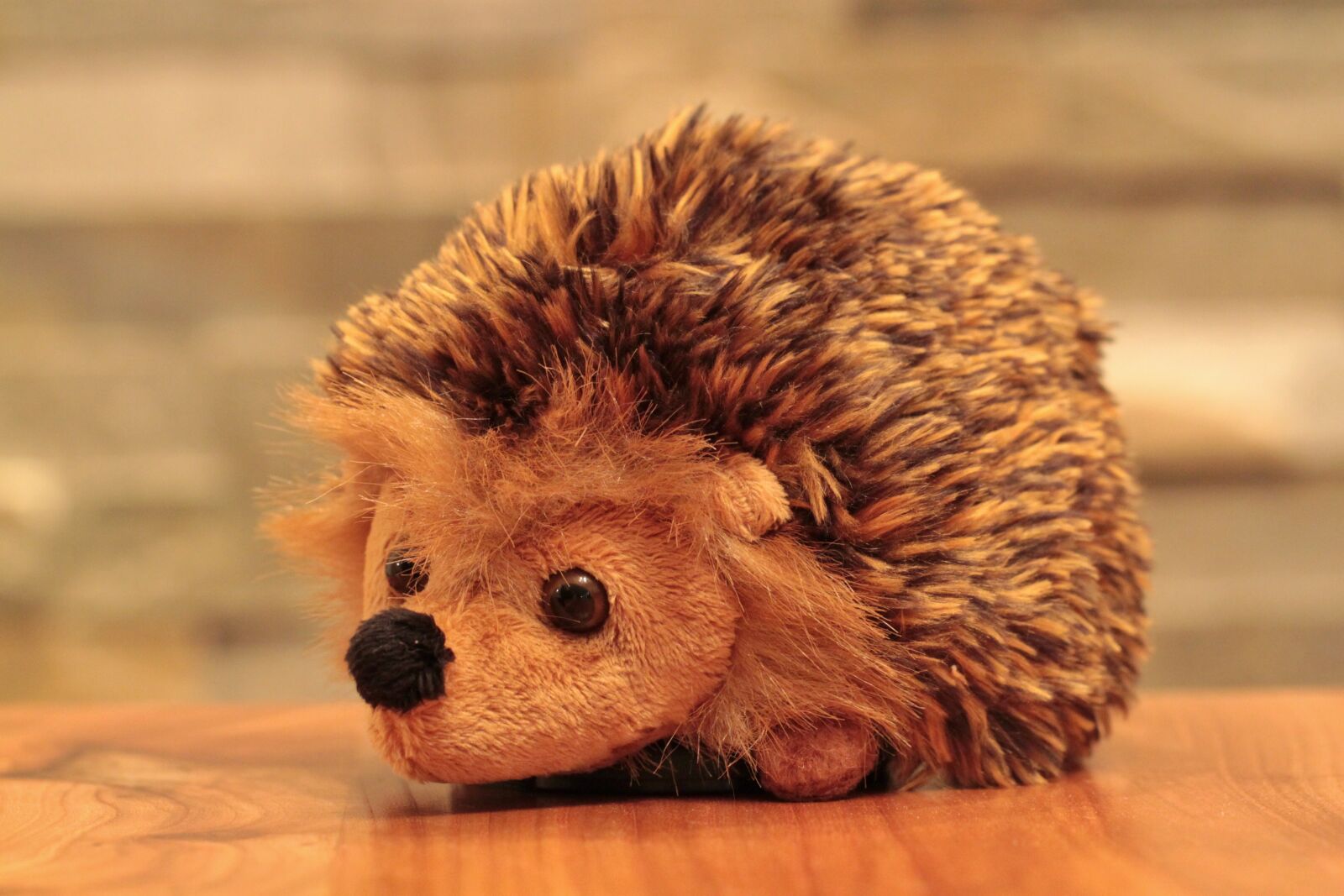 Canon EOS 500D (EOS Rebel T1i / EOS Kiss X3) sample photo. Hedgehog, animal, soft toy photography