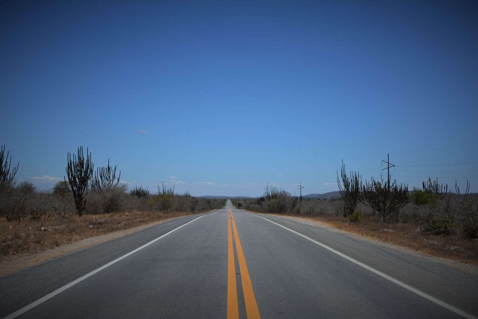 Nikon D5200 sample photo. Backcountry, road, caatinga photography