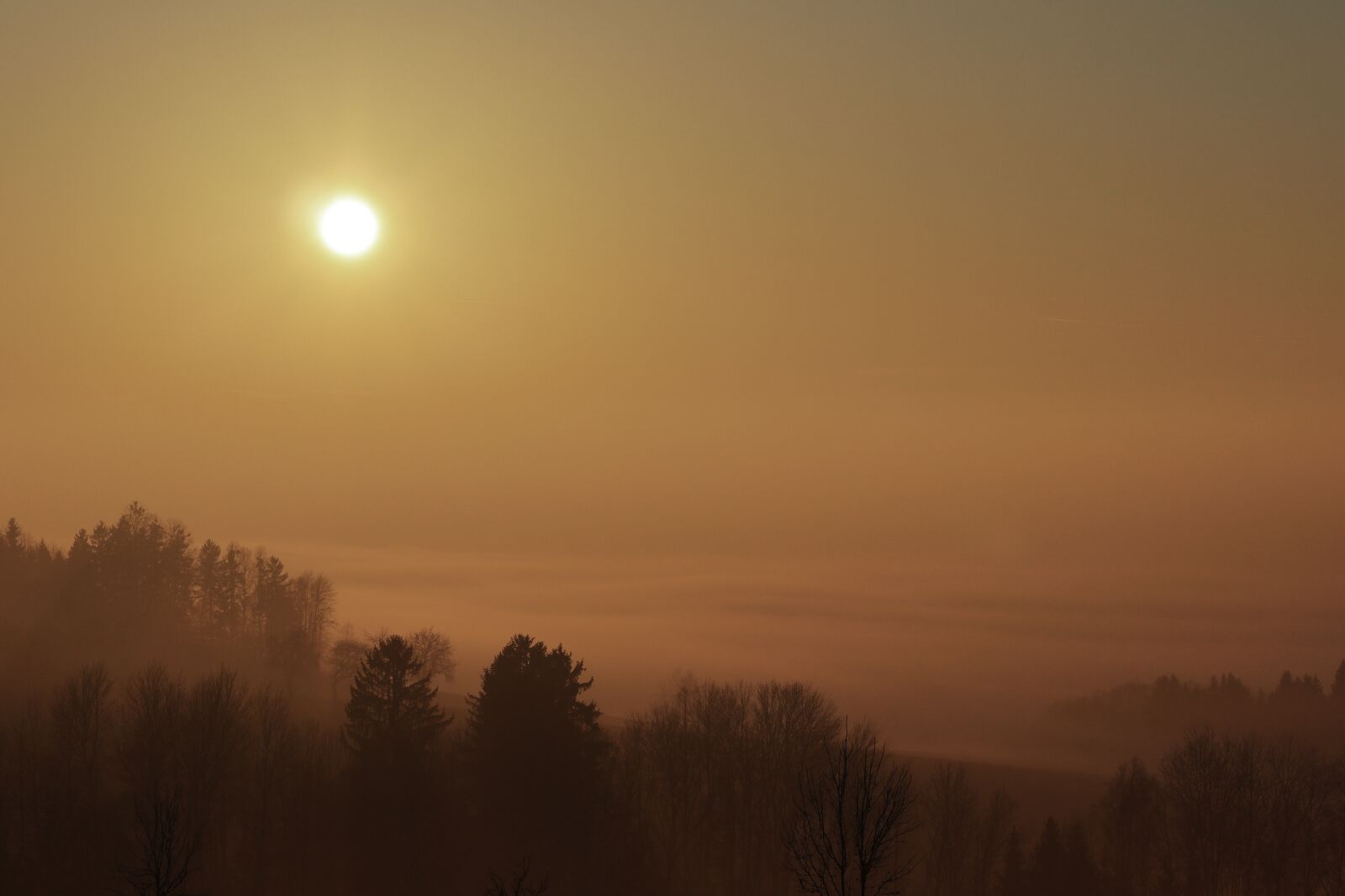 Canon EOS M100 sample photo. Sunset, fog, mood photography