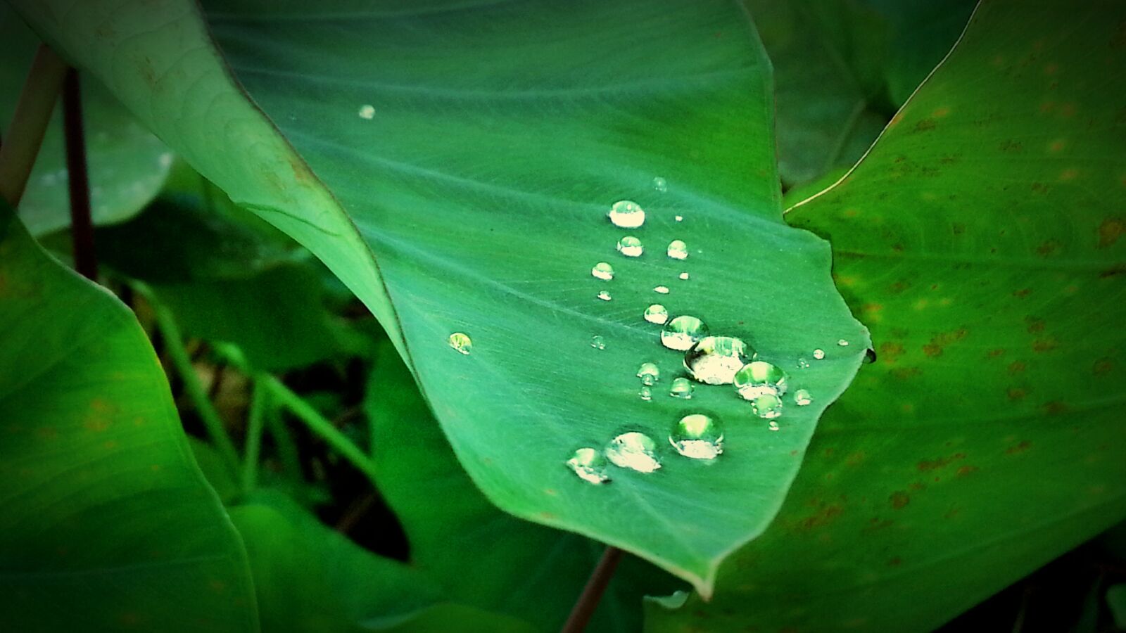 Samsung Galaxy Note2 sample photo
