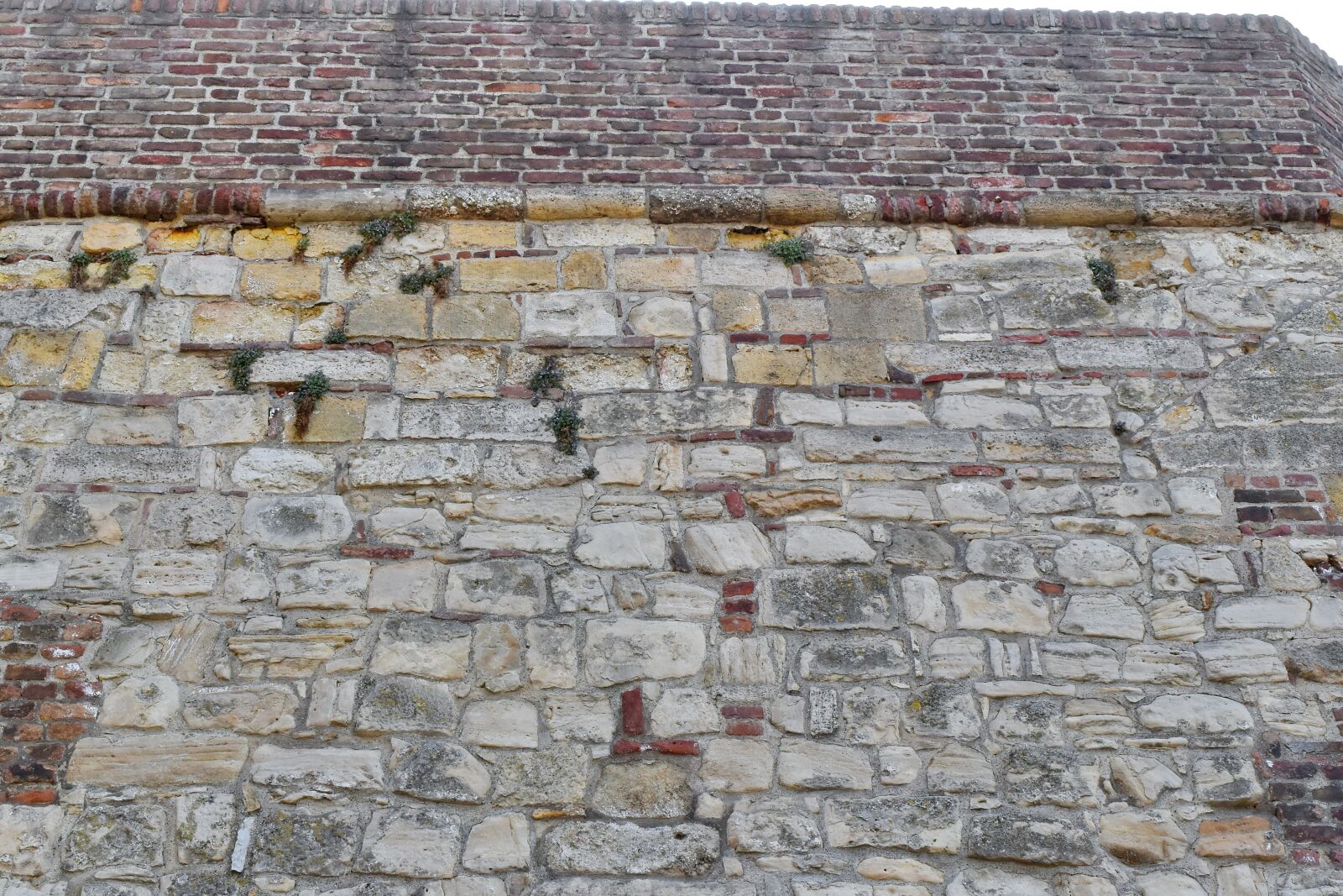 Nikon D5500 sample photo. Surface, rough, brick, architecture photography
