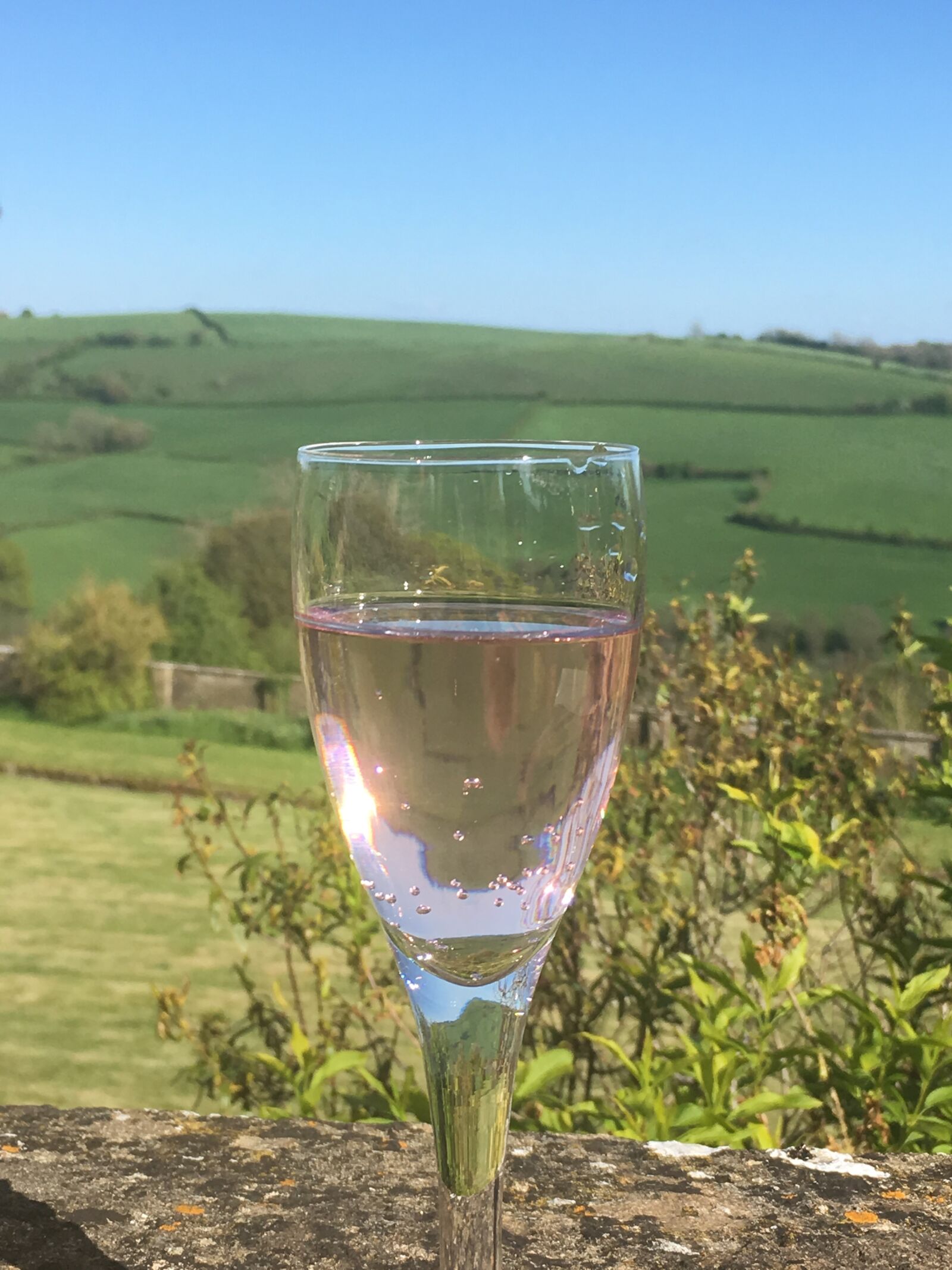 iPhone SE back camera 4.15mm f/2.2 sample photo. Sunshine, glass, pink lemonade photography
