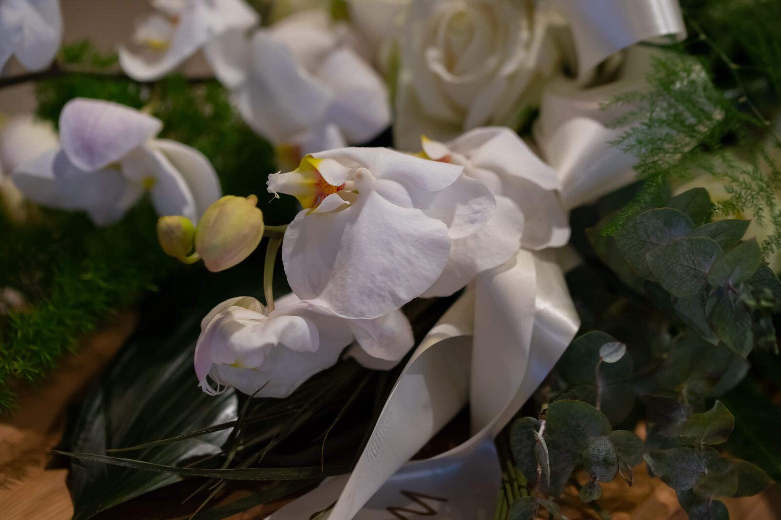 Canon EOS 6D Mark II sample photo. Orchid, grafwerk, flower arrangement photography