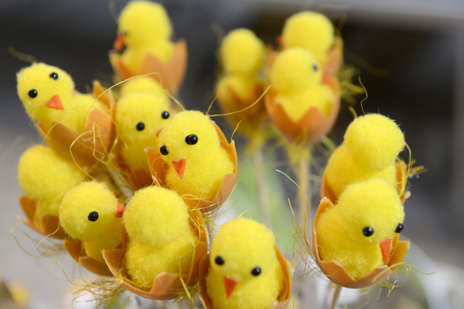 Nikon D800 sample photo. Easter, yellow, spring photography