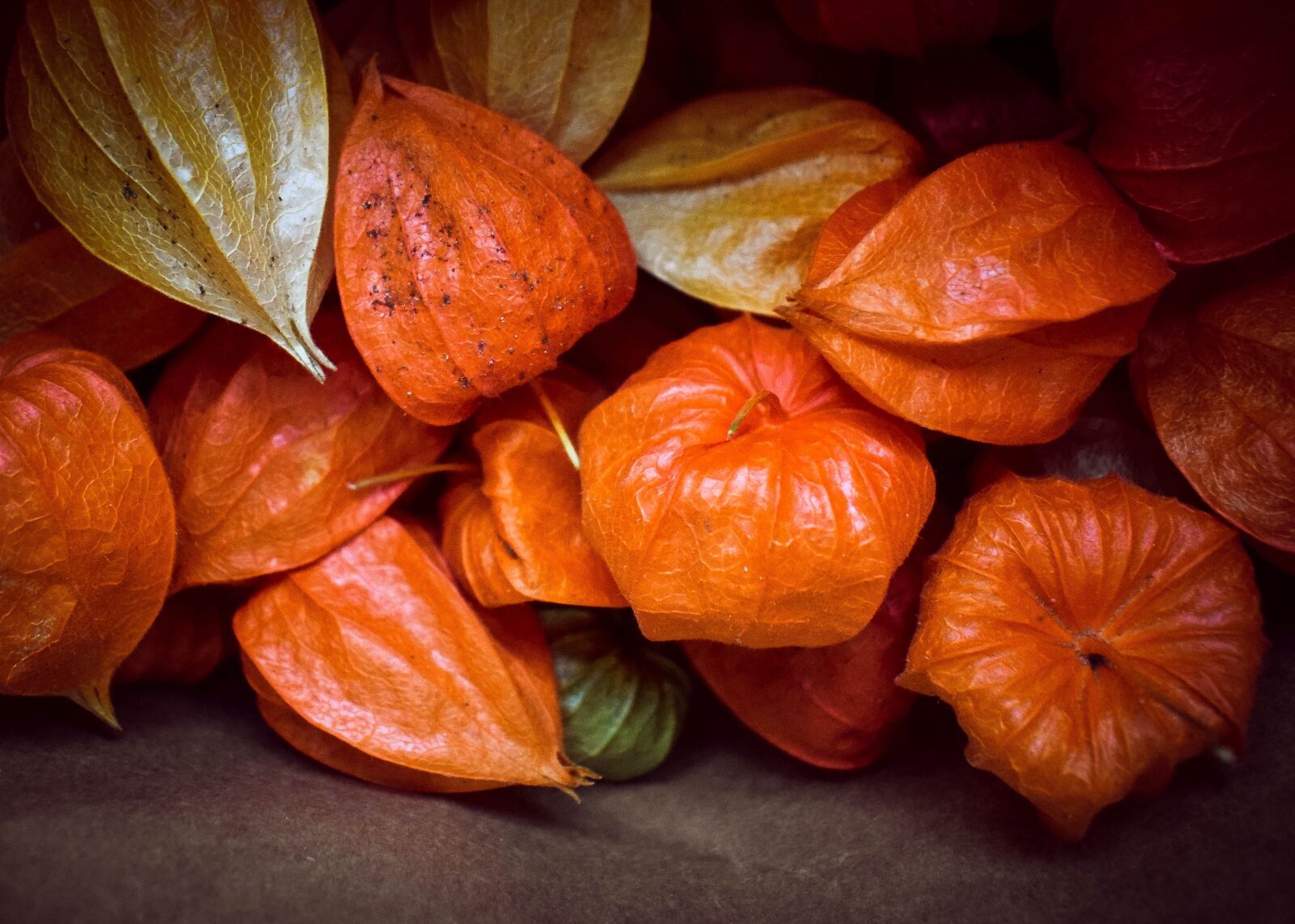 Nikon D5300 sample photo. Physalis, autumn, food photography