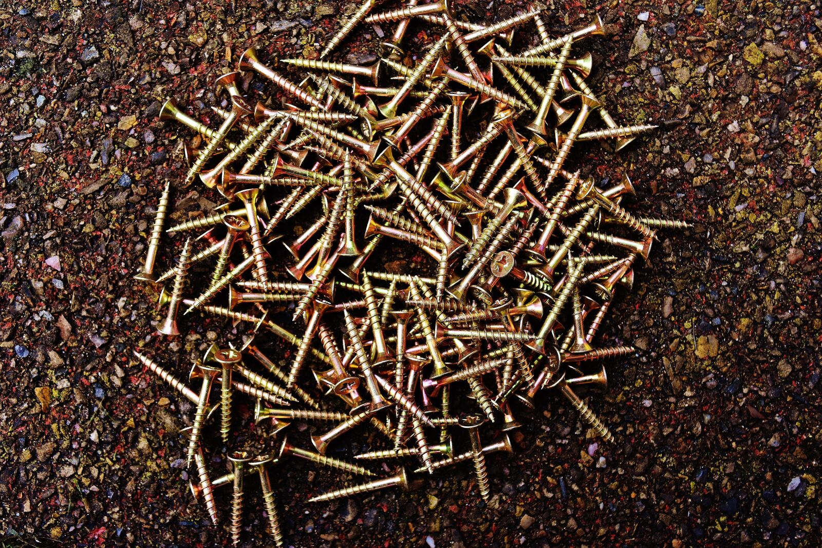 Nikon D7200 sample photo. Screw, wood screws, spax photography