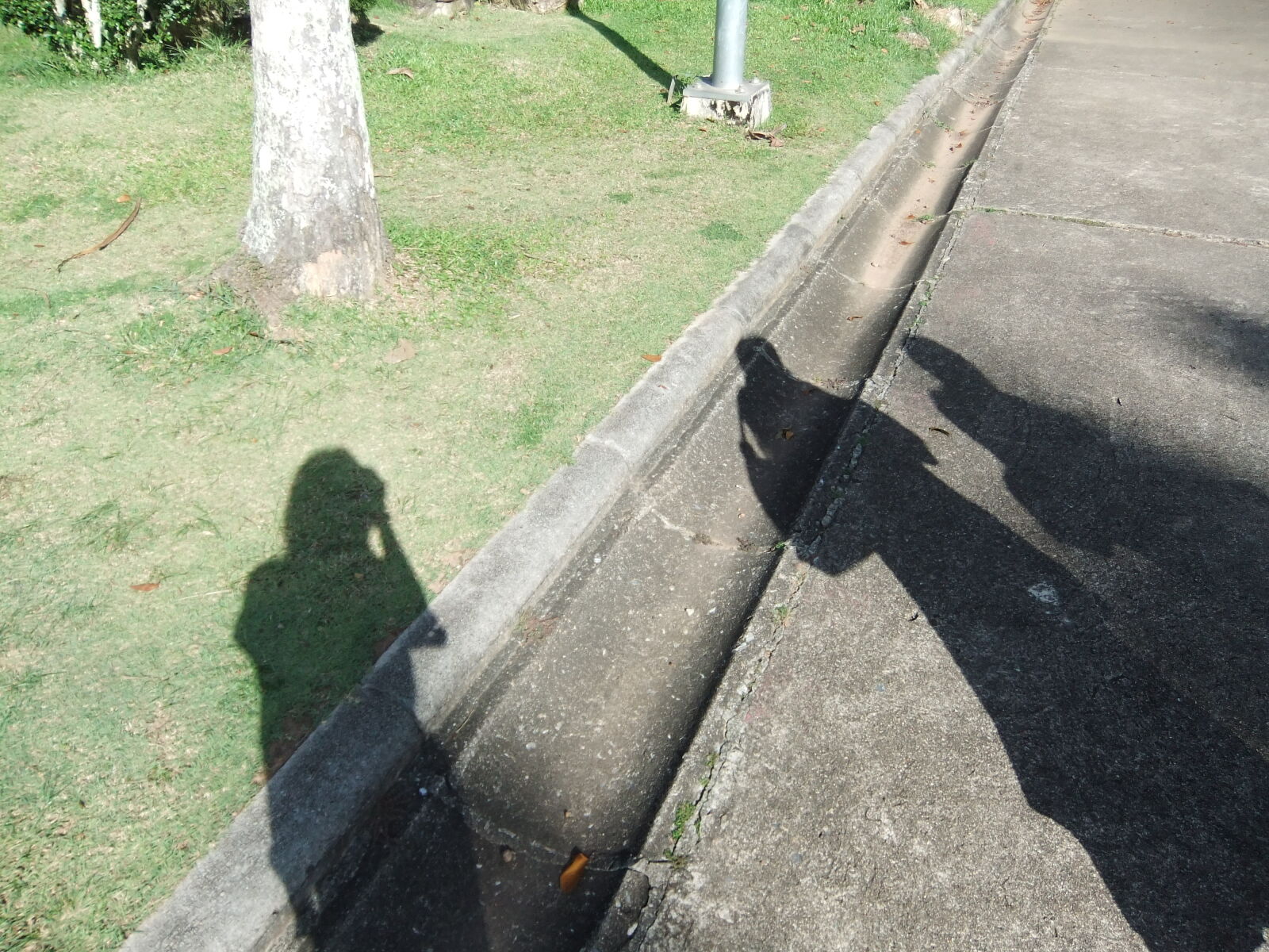 FujiFilm FinePix F80EXR (FinePix F85EXR) sample photo