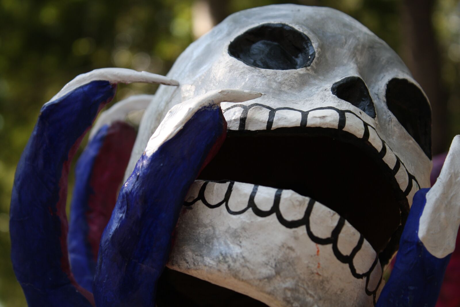 Canon EOS 1000D (EOS Digital Rebel XS / EOS Kiss F) sample photo. Dead, skull, day of photography