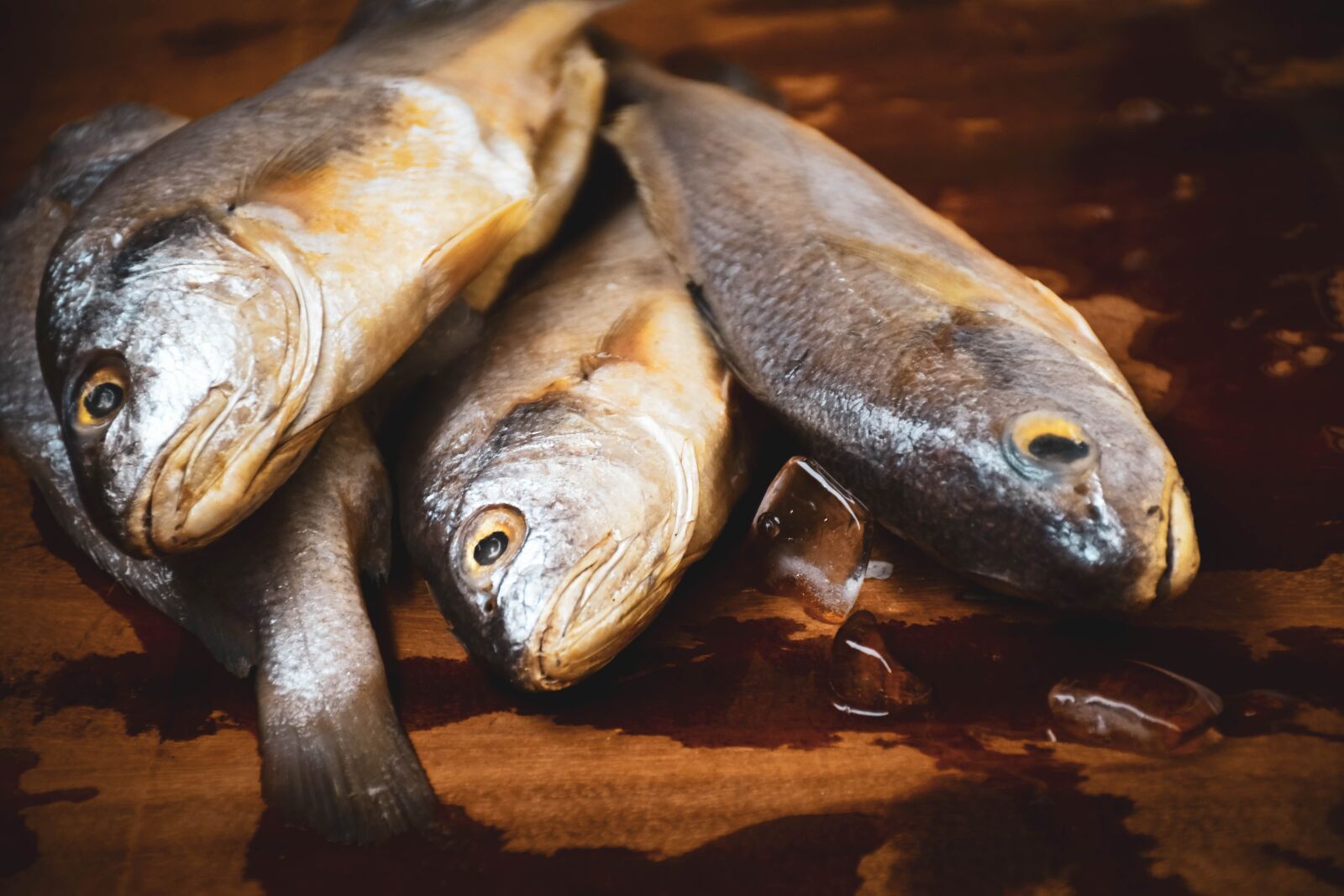 Nikon D7500 sample photo. Fish, raw fish, seafood photography
