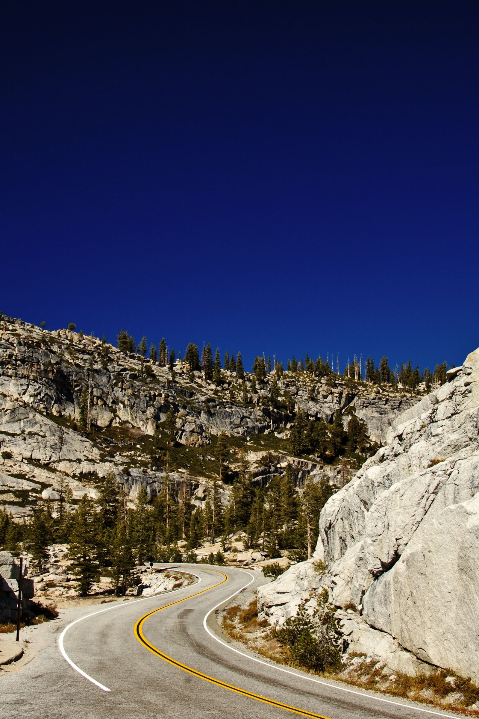 Nikon D50 sample photo. Yosemite, national park, california photography