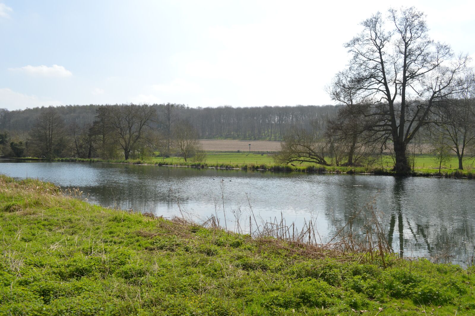 Nikon D3200 sample photo. Nature, water, panoramic photography