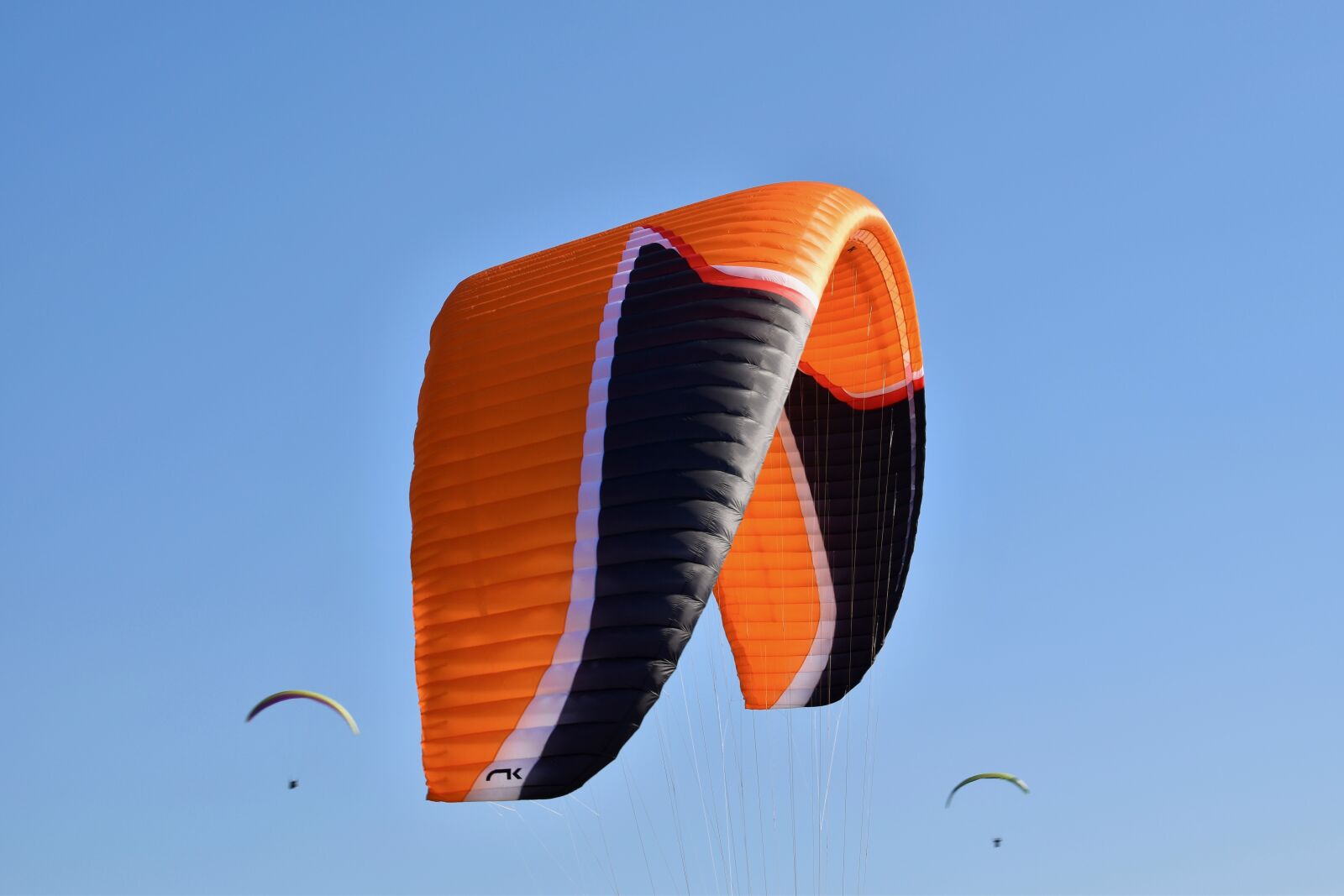 Nikon D5600 sample photo. Paragliding, paraglider, sailing orange photography
