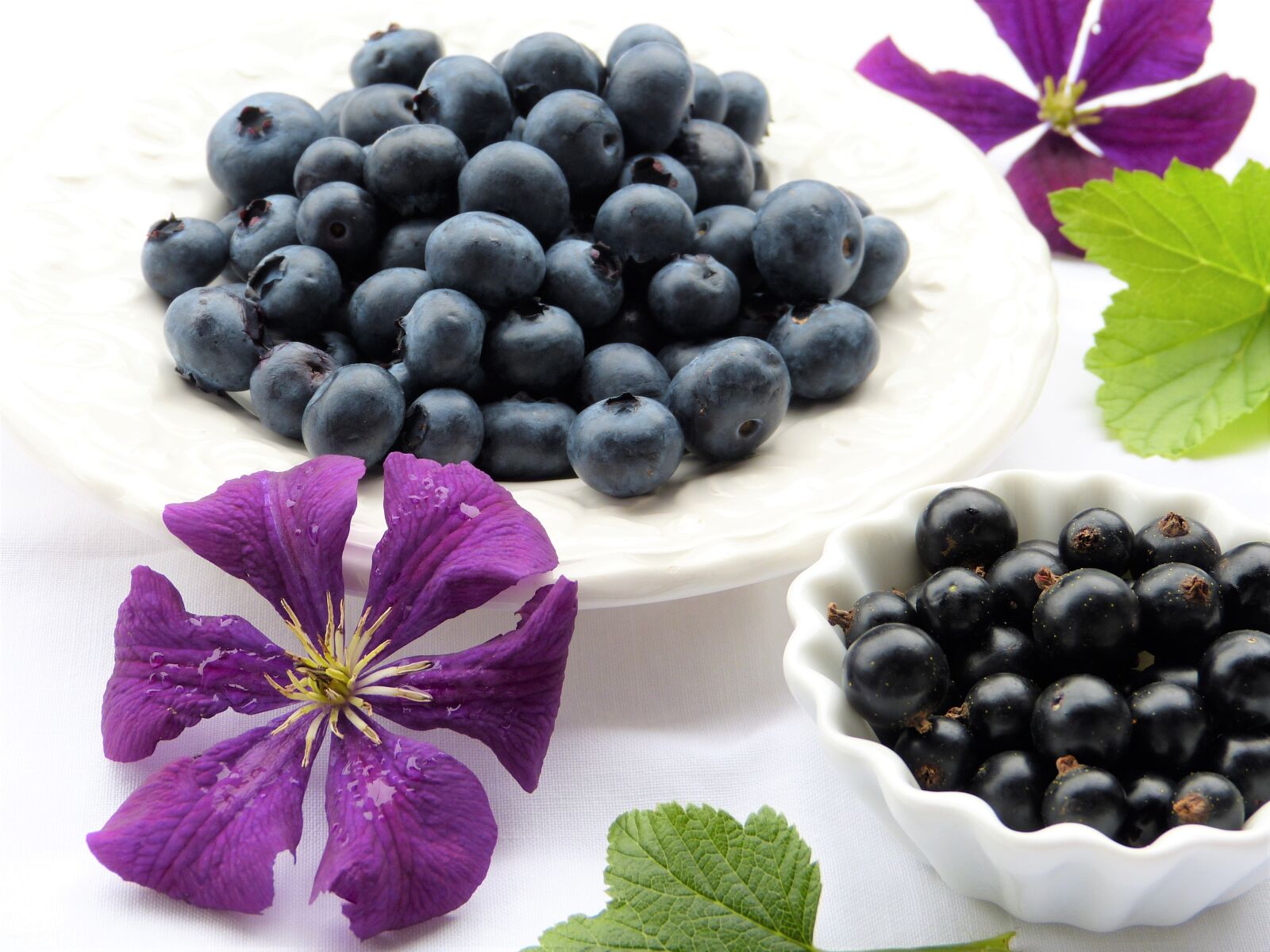 Panasonic Lumix DMC-FZ150 sample photo. Blueberries, black currants, clematis photography