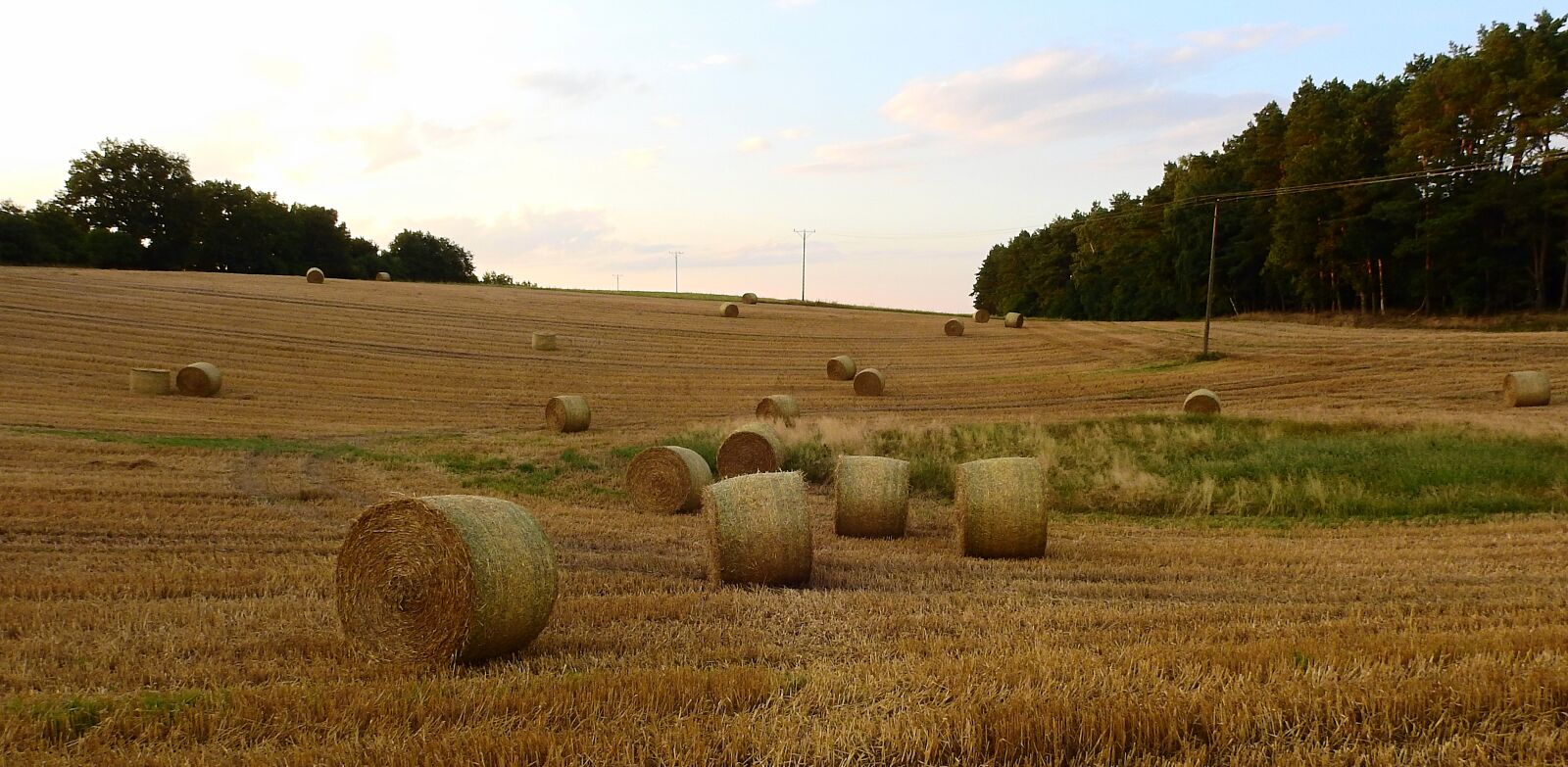 Nikon Coolpix P900 sample photo. Agriculture, field, landscape photography