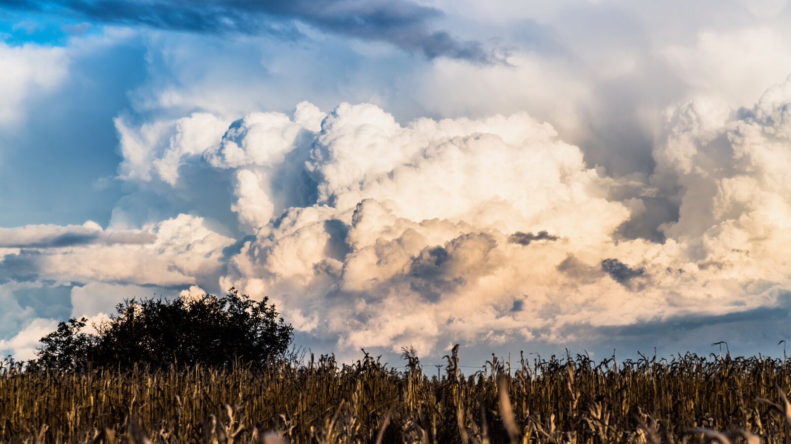 Nikon D850 sample photo. The sky, clouds, blue photography