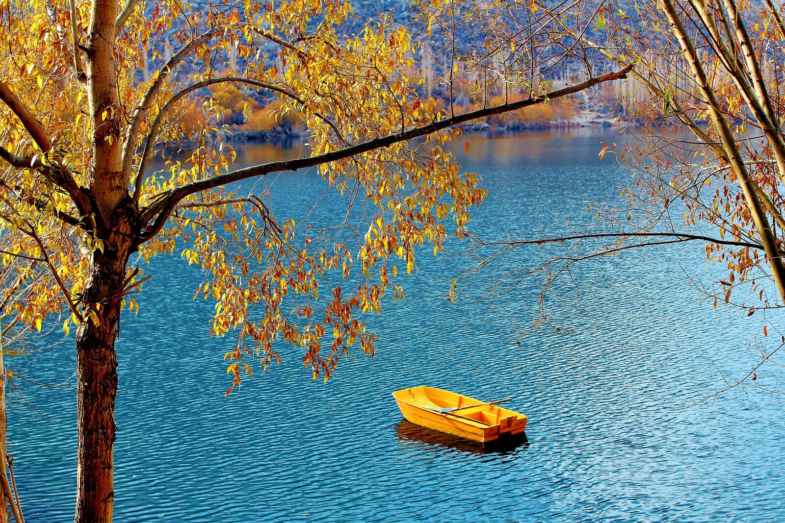 Canon EOS 700D (EOS Rebel T5i / EOS Kiss X7i) sample photo. Tree, lake, pakistan photography
