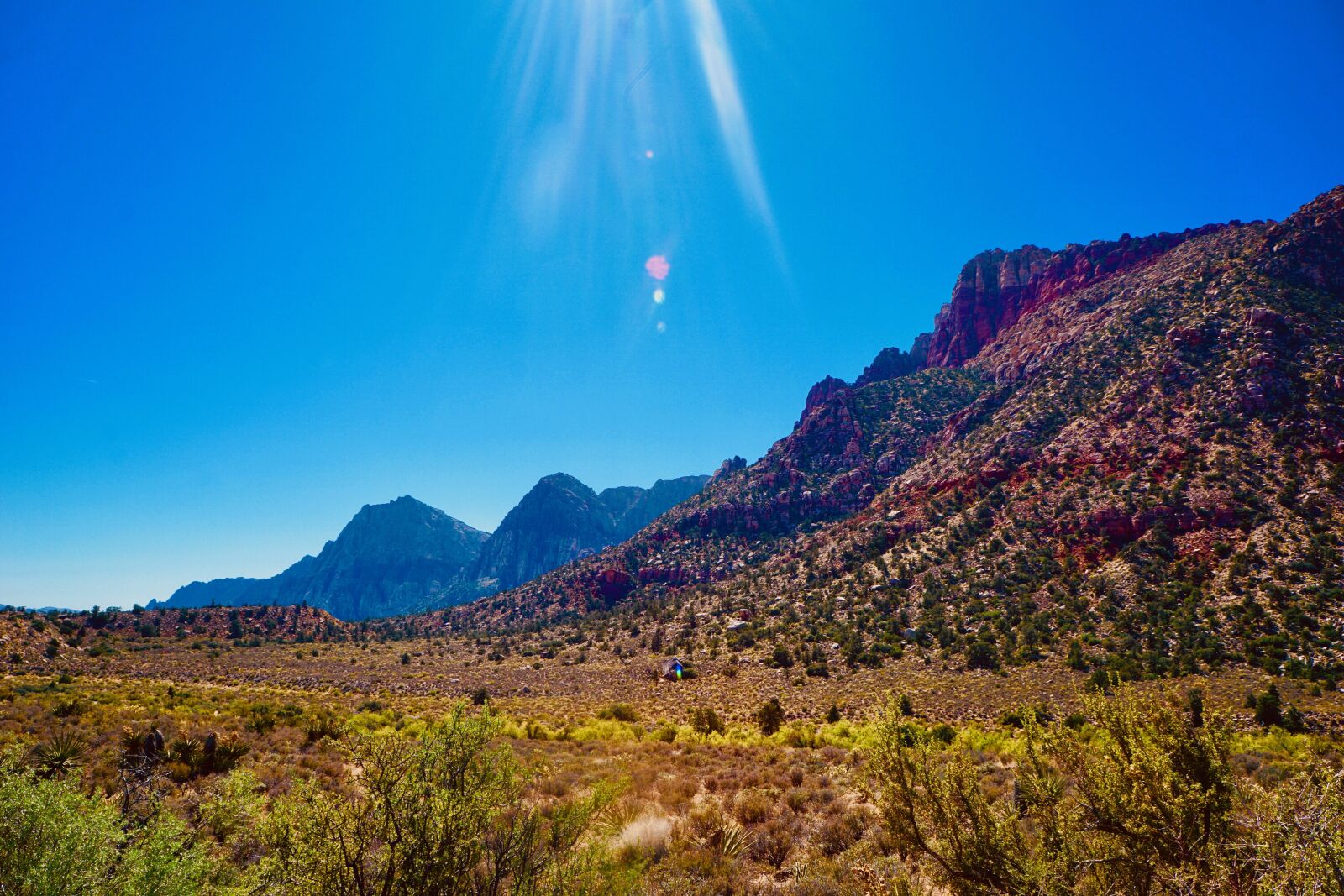 Sony a6000 + Sony E 18-55mm F3.5-5.6 OSS sample photo. Desert, trees, mountain photography