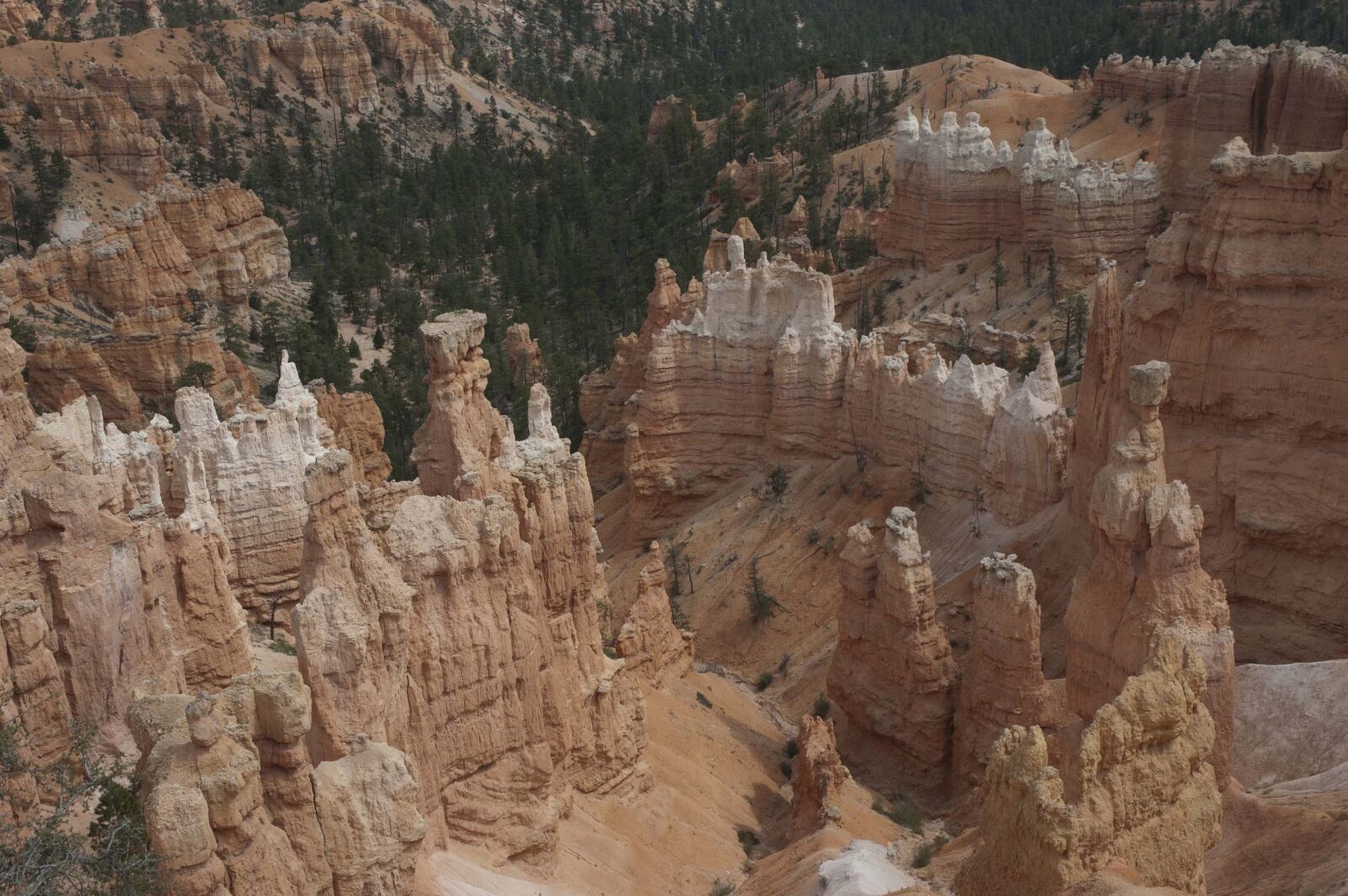 Nikon D70 sample photo. Rock formations, bryce canyon photography