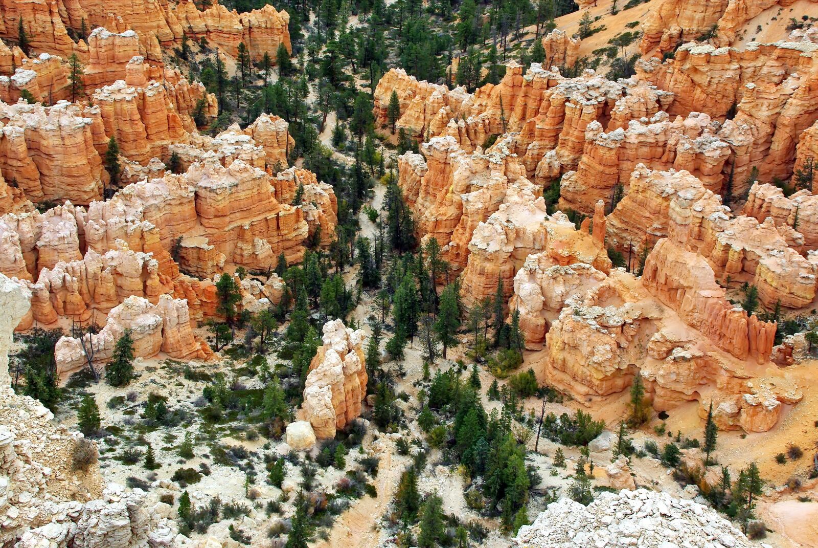 Pentax K200D sample photo. Usa, bryce canyon, utah photography
